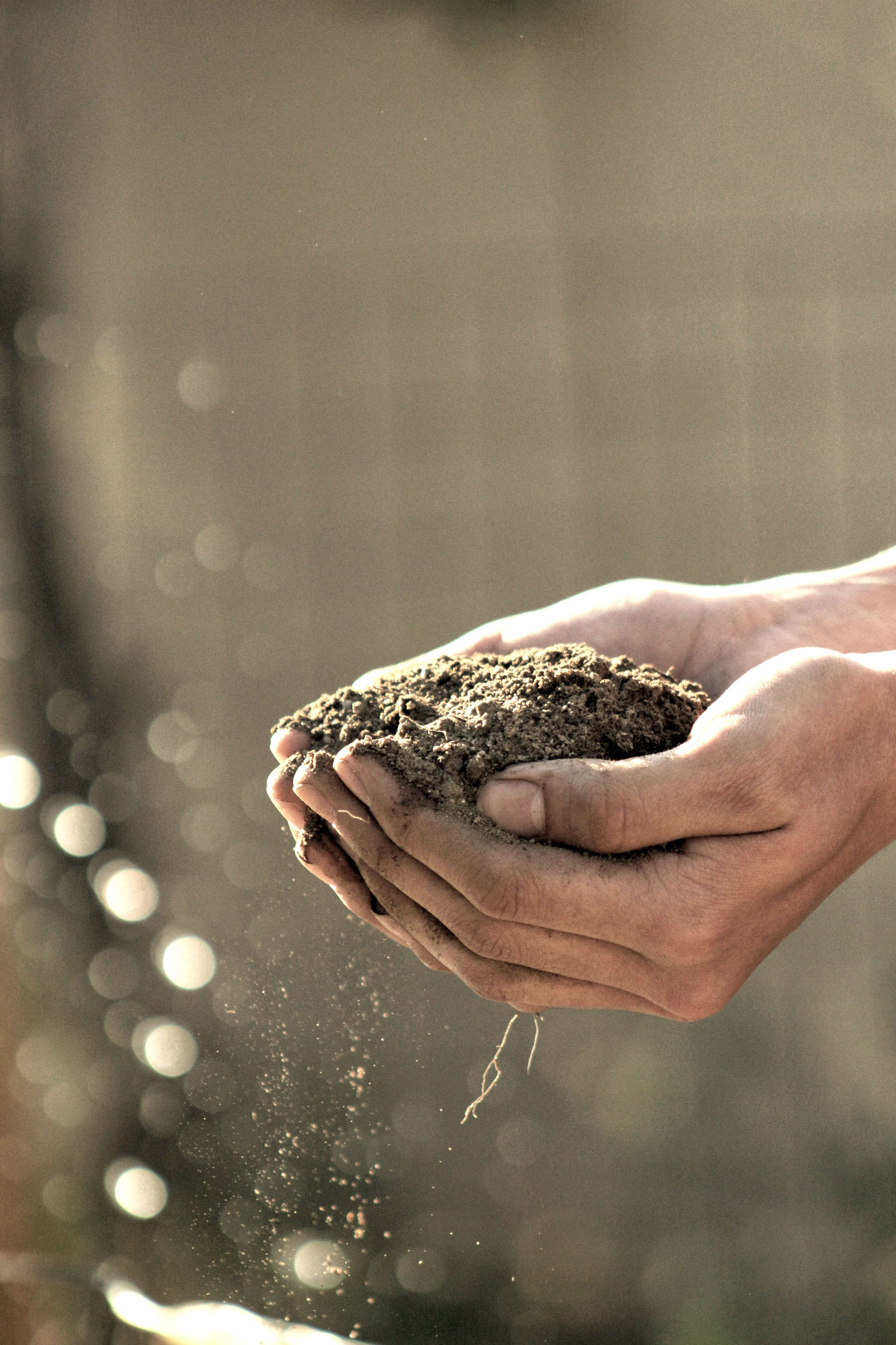 La permaculture La permaculture